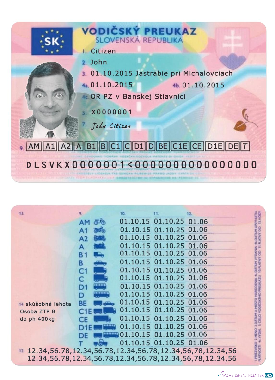 download Slovakia driving license